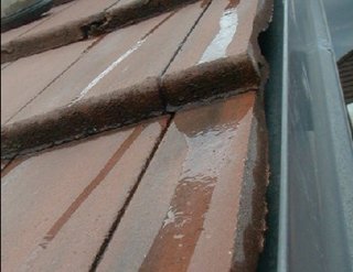 Des gouttières et chéneaux fuyards en immeuble collectif dhabitation